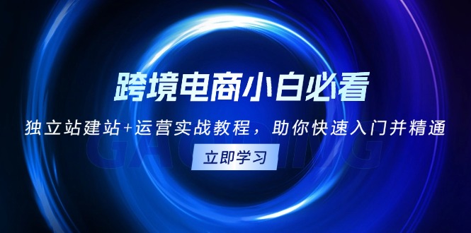 跨境电商小白必看!独立站建站+运营实战教程,助你快速入门并精通-一起学网赚