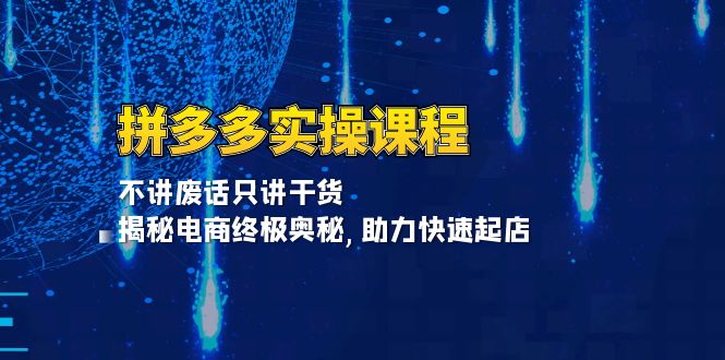 拼多多实操课程:不讲废话只讲干货, 揭秘电商终极奥秘,助力快速起店-一起学网赚