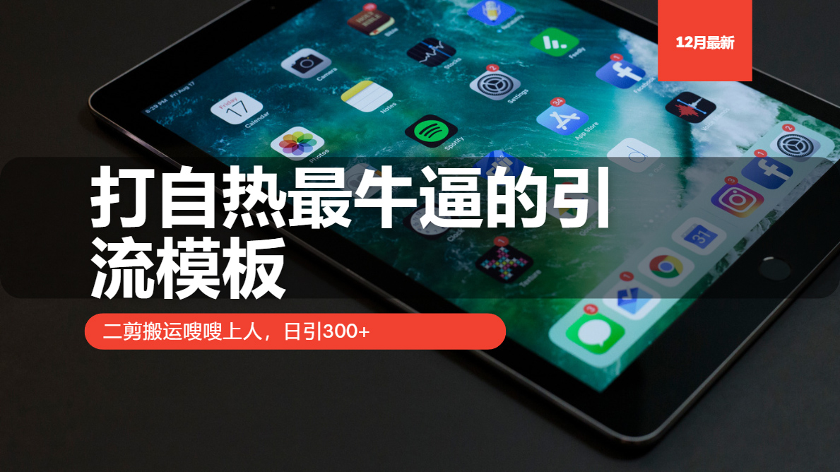 打自热最牛逼的引流模板,二剪搬运嗖嗖上人,日引300+-一起学网赚